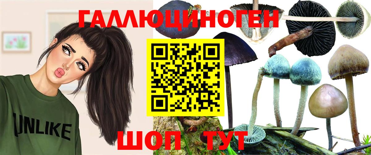 Галлюциногенные грибы Cubensis Котовск