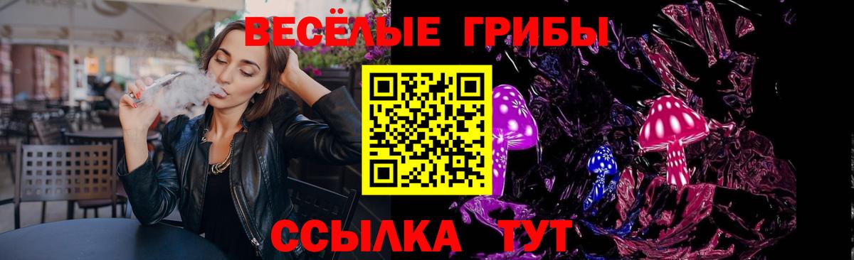 Котовск  Псилоцибиновые грибы MAGIC MUSHROOMS  как найти наркотики  Вход с VPN  Псилоцибиновые грибы MAGIC MUSHROOMS 